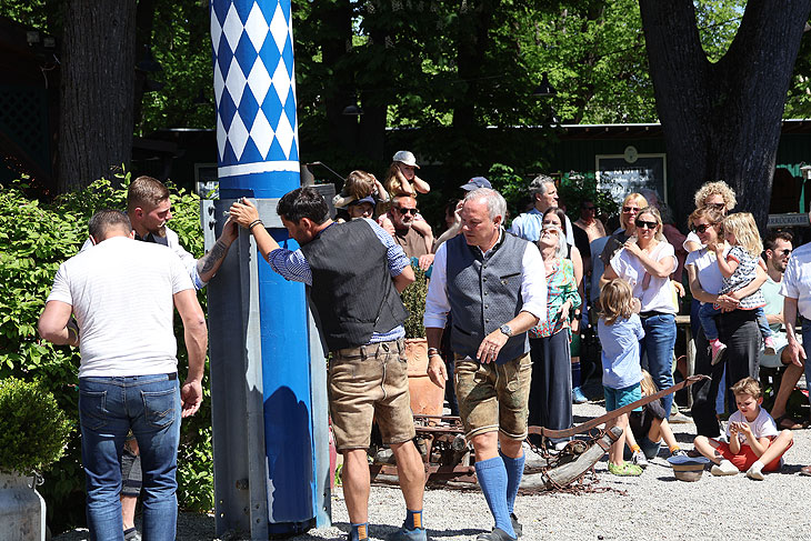 Endkontrolle durch Wirt Christian Schretzlmeier vom Augustiner Schützengarten: Maibaum aufstellen am 01.05.2025 im Augustiner Schützengarten in München-Obersendling (©Foto: Martin Schmitz) 